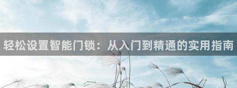 富联娱乐测速登录失败：轻松设置智能门锁：从入门到精通的实用指