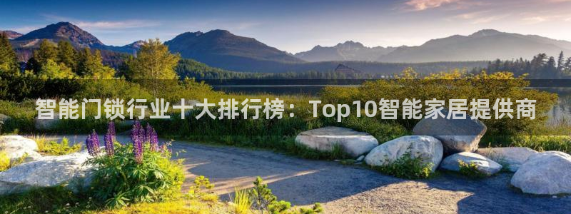 富联娱乐代理电话：智能门锁行业十大排行榜：Top10智能家居