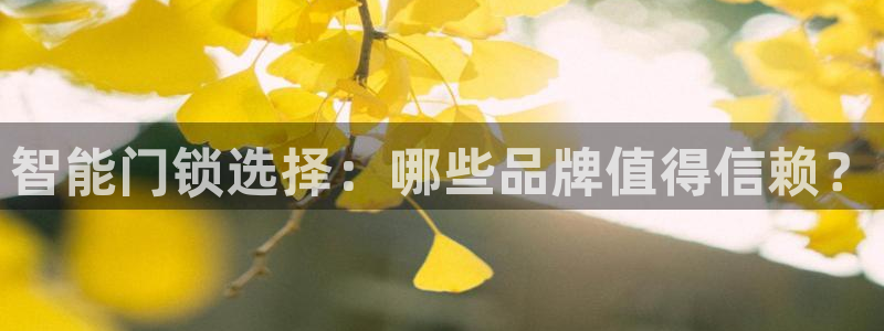 富联娱乐注册教判官333OO：智能门锁选择：哪些品牌值得信赖