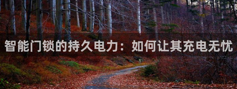 富联娱乐测速登录：智能门锁的持久电力：如何让其充电无忧