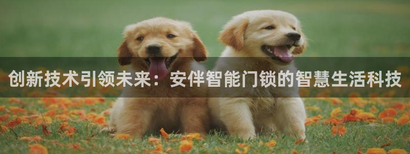 富联娱乐找37997筘：创新技术引领未来：安伴智能门锁的智慧