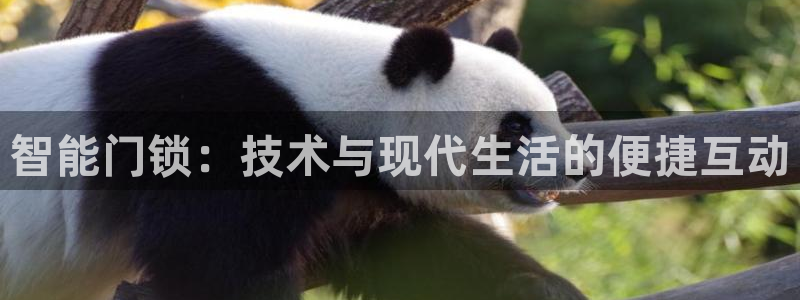 富联娱乐市究7276O：智能门锁：技术与现代生活的便捷互动