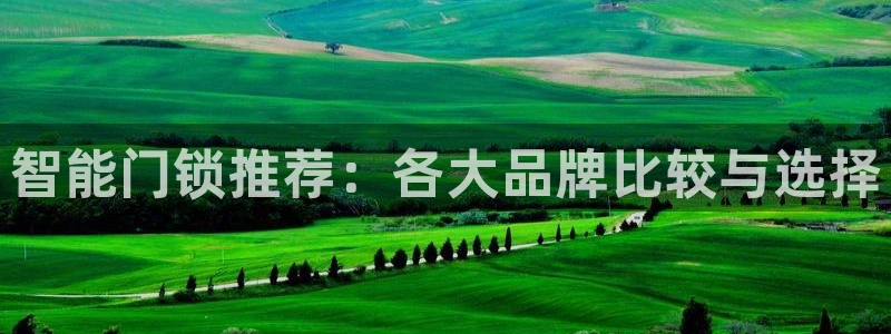 富联娱乐总裁简介图片：智能门锁推荐：各大品牌比较与选择