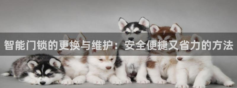 富联娱乐官网登录入口网址：智能门锁的更换与维护：安全便捷又省