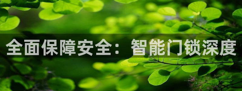 富联娱乐平台登录不上去：全面保障安全：智能门锁深度