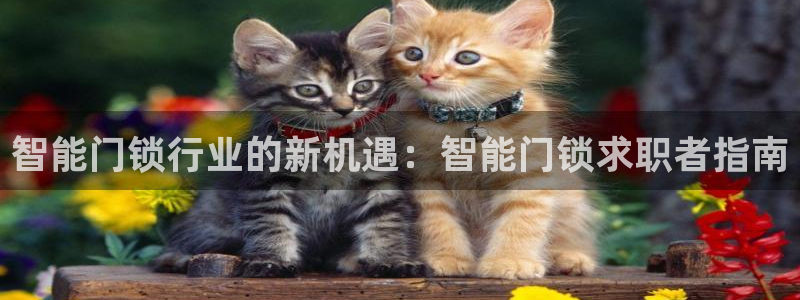 富联娱乐主营业务：智能门锁行业的新机遇：智能门锁求职者指南