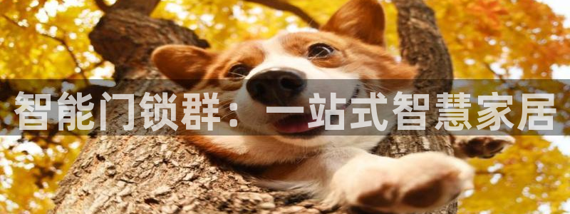 佰富联娱乐团购：智能门锁群：一站式智慧家居