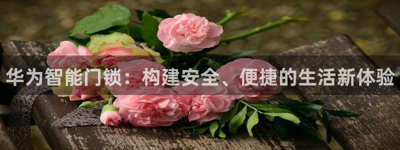 富联娱乐平台特点分析：华为智能门锁：构建安全、便捷的生活新体