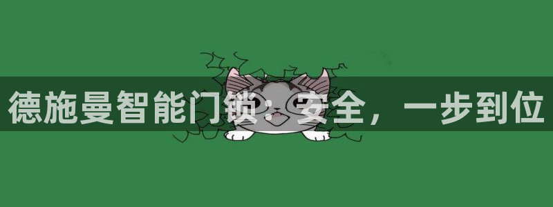 佰富联娱乐团购是真的吗：德施曼智能门锁：安全，一步到位