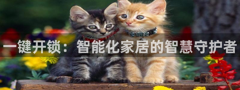 富联娱乐招商财判官333OO：一键开锁：智能化家居的智慧守护