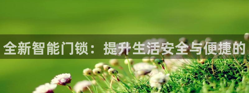 富联娱乐主管在什么职位：全新智能门锁：提升生活安全与便捷的
