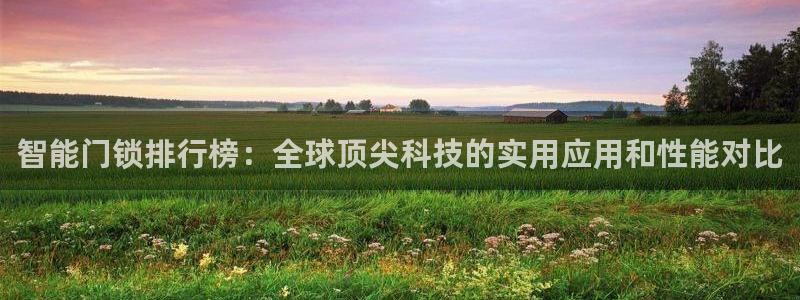 富联娱乐平台登录入口：智能门锁排行榜：全球顶尖科技的实用应用