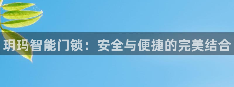 富联娱乐元哥简介图片：玥玛智能门锁：安全与便捷的完美结合