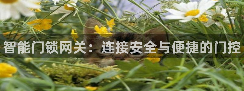 富联2娱乐是正规平台吗：智能门锁网关：连接安全与便捷的门控
