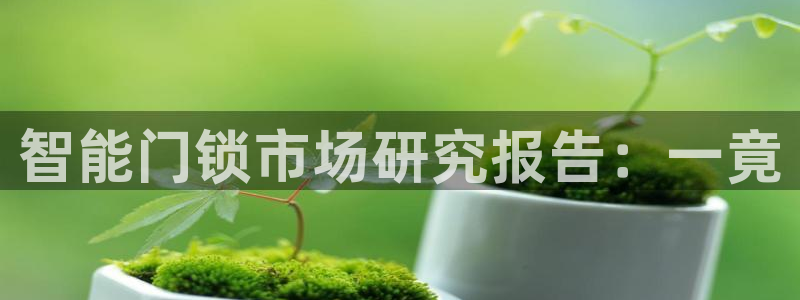 富联娱乐官网注册入口在哪：智能门锁市场研究报告：一竟