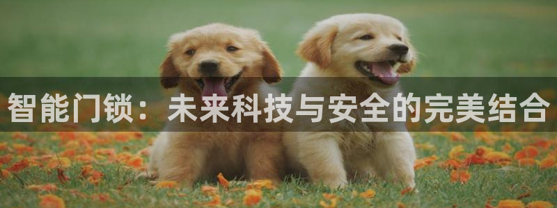 富联娱乐招商方判官333OO：智能门锁：未来科技与安全的完美