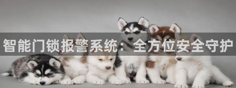 富联娱乐注册地址上海：智能门锁报警系统：全方位安全守护