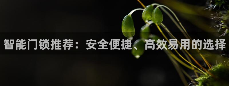富联娱乐首页在哪看：智能门锁推荐：安全便捷、高效易用的选择