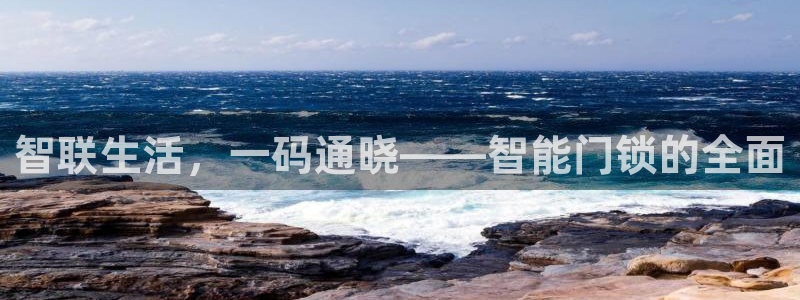 富联娱乐主管就判官333OO：智联生活，一码通晓——智能门锁