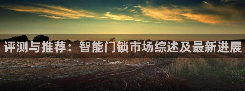 富联娱乐下载官网：评测与推荐：智能门锁市场综述及最新进展
