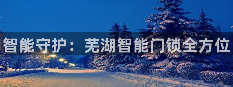 富联娱乐千67五壹叁八：智能守护：芜湖智能门锁全方位
