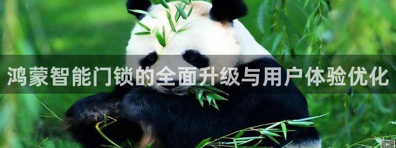 富联娱乐公司简介资料：鸿蒙智能门锁的全面升级与用户体验优化