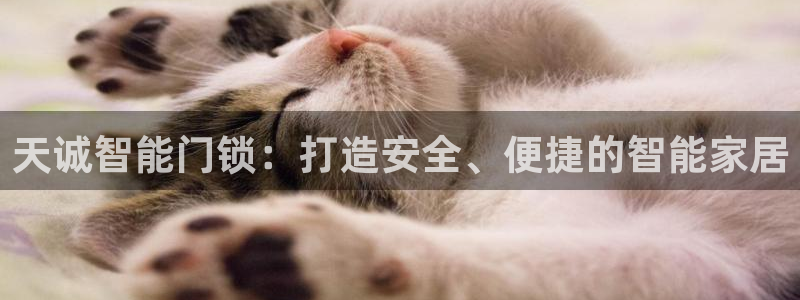 富联娱乐主管会判官333OO：天诚智能门锁：打造安全、便捷的