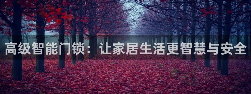 富联娱乐贴吧：高级智能门锁：让家居生活更智慧与安全