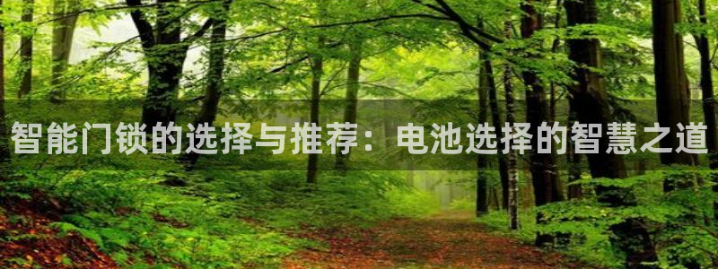 富联娱乐首页网站入口：智能门锁的选择与推荐：电池选择的智慧之