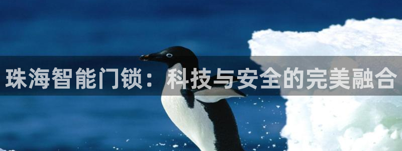 富联娱乐招商天原判官333OO：珠海智能门锁：科技与安全的完