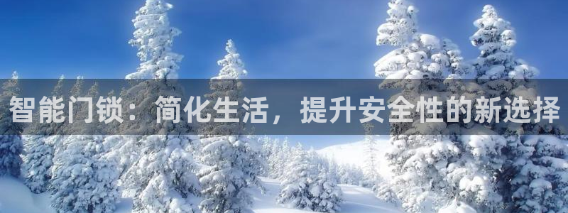 富联娱乐发展历程：智能门锁：简化生活，提升安全性的新选择