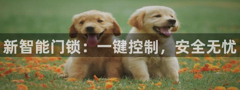 富联娱乐图7O777：新智能门锁：一键控制，安全无忧