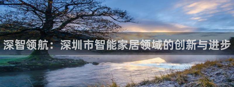 富联娱乐开户费用多少：深智领航：深圳市智能家居领域的创新与进