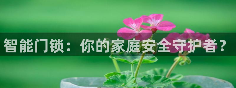 富联娱乐找u997.cn凤凰：智能门锁：你的家庭安全守护者？
