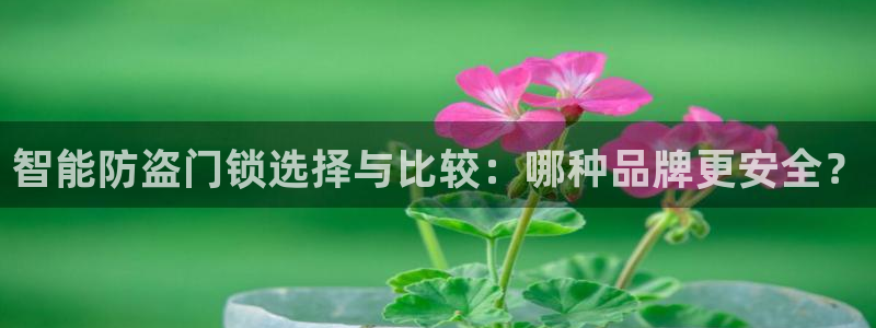 富联娱乐平台：智能防盗门锁选择与比较：哪种品牌更安全？
