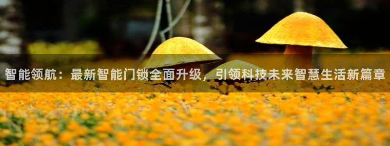富联娱乐客户端下载官网：智能领航：最新智能门锁全面升级，引领