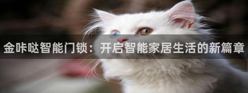 富联娱乐测速app