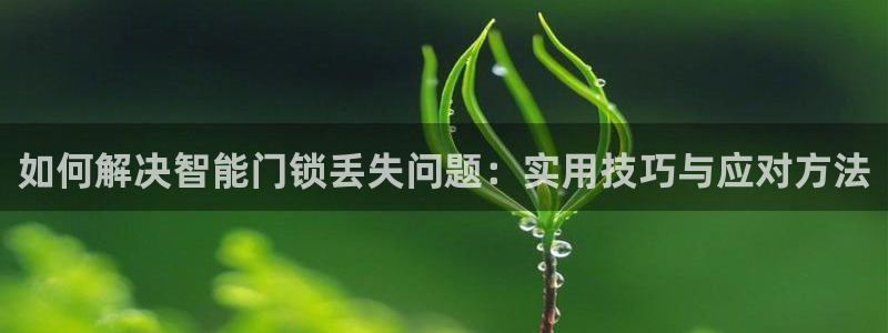 富联娱乐主管会判官333OO：如何解决智能门锁丢失问题：实用