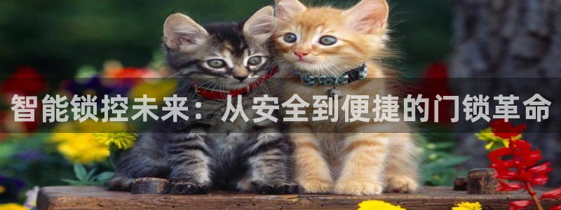 富联娱乐首页登录：智能锁控未来：从安全到便捷的门锁革命