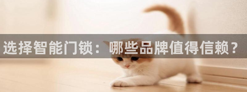 富联娱乐首页登录不了：选择智能门锁：哪些品牌值得信赖？