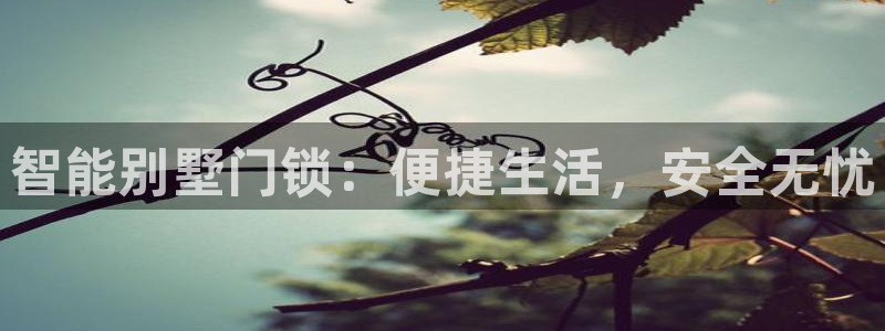 富联娱乐在线官网下载：智能别墅门锁：便捷生活，安全无忧