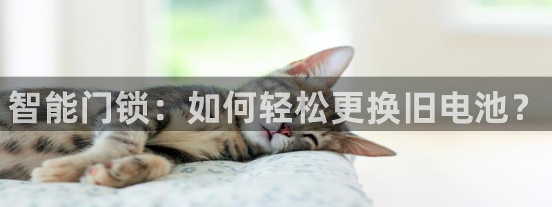 富联娱乐登录测速在哪：智能门锁：如何轻松更换旧电池？
