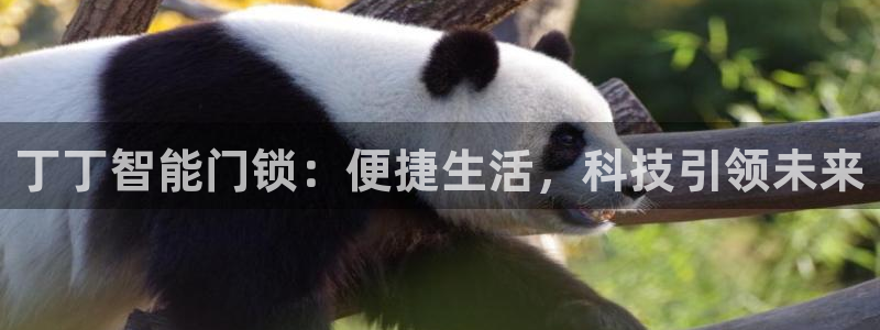 富联娱乐2853179Z空间：丁丁智能门锁：便捷生活，科技引