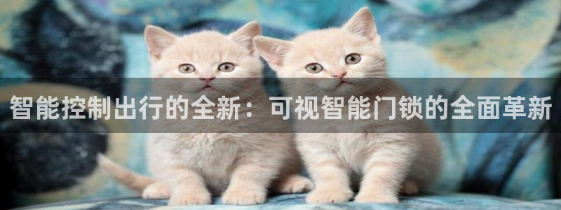 富联娱乐正规吗可靠吗：智能控制出行的全新：可视智能门锁的全面