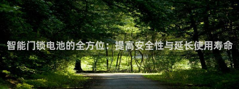 富联娱乐平台下载安装：智能门锁电池的全方位：提高安全性与延长