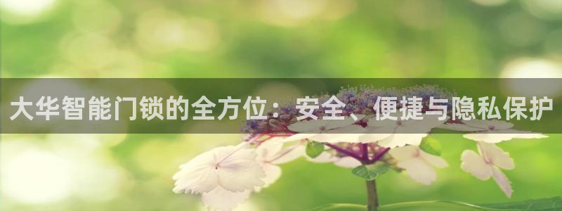 富联2娱乐首页下载安装：大华智能门锁的全方位：安全、便捷与隐