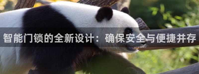 富联娱乐官方网站入口网址：智能门锁的全新设计：确保安全与便捷
