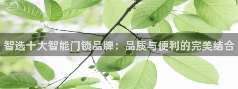 富联娱乐发展历程图