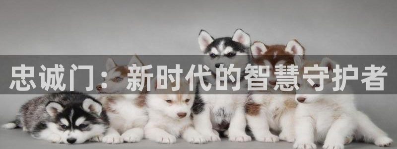 富联2娱乐元哥微博号：忠诚门：新时代的智慧守护者