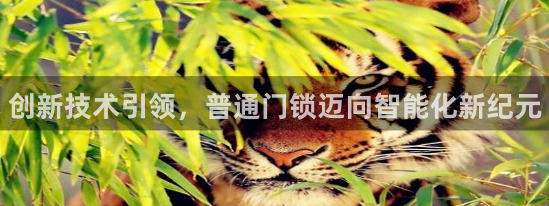 富联2娱乐贴吧官网首页：创新技术引领，普通门锁迈向智能化新纪